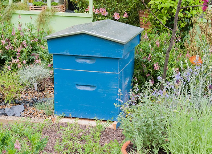 Peut-on installer une ruche dans son jardin ? On vous répond